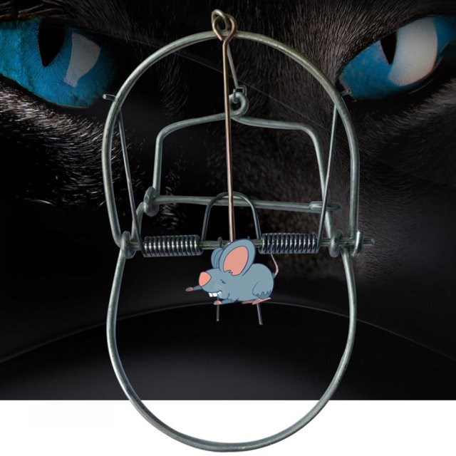 Metal Mouse Trap Spring Rat Weasel Catch Snap Trap Mice Rode