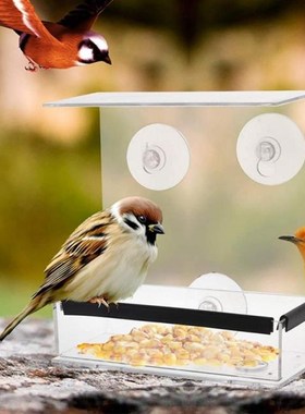 Bird Feeder Clear Acrylic Window Viewing Bird Feeders Tray B