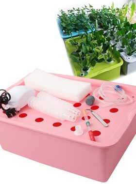 24 Holes Hydroponic Kit with Oxygen Pump Indoor Garden Cabin