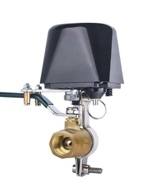 Professional WiFis Water Valves Tuya Valves 适用于 Water Co