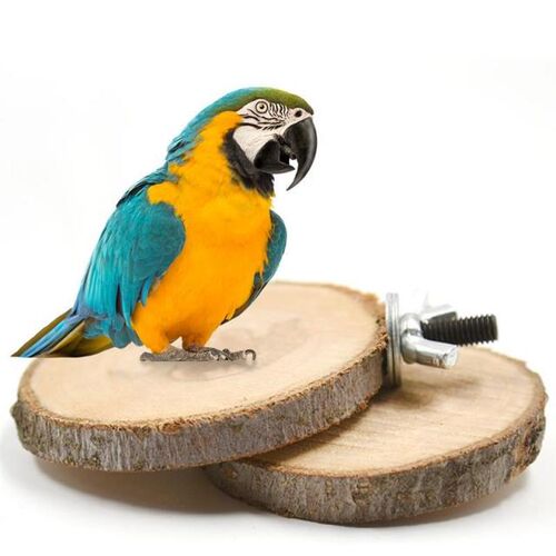Pet Standing Board Wood Parrot Cockatiel Parakeet Perches Bi
