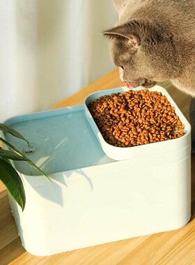 2 in1 Pet Dogs Cats Water Dispenser & Food Bowl Anti-overflo