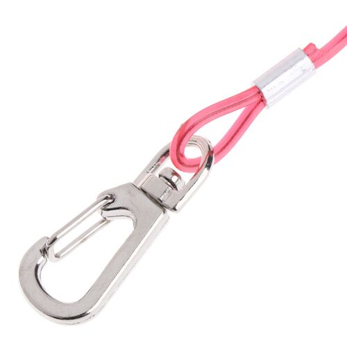 Parrot Rope Pet Flying Leash TPU Anti Bite Bird Outdoor Star