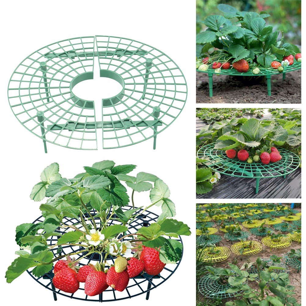 6 PCS Strawberry Stand Frame Holder Balcony Planting Rack Fr