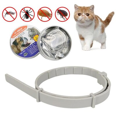 Adjustable Flea And Tick Collar For Dogs 8-Month Tick And Fl