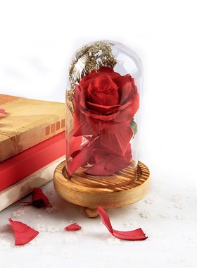 Wooden Base Glass Dome Rose Flower Decoration Desktop Bedroo