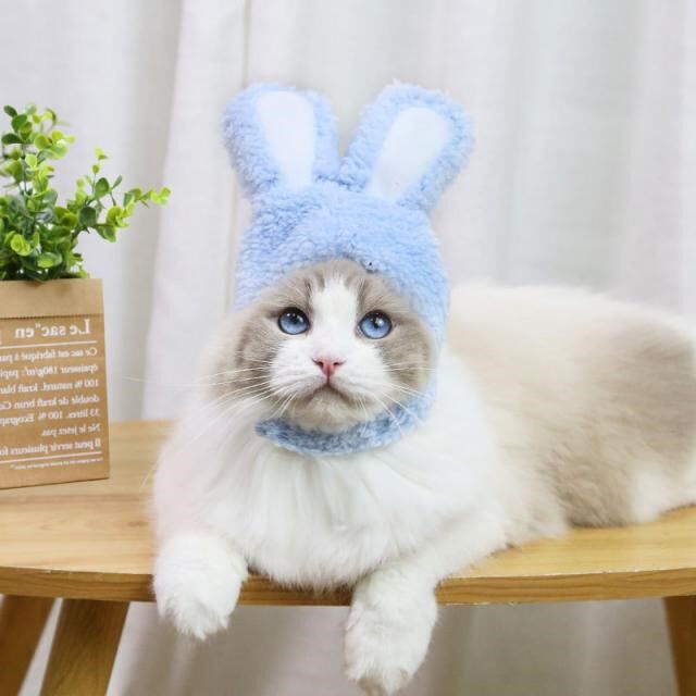 Cat Headgear Costume Bunny Rabbit Ears Hat Cute Pet Cat Cosp