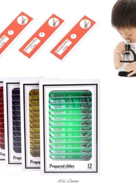 48Pcs/Set Prepared Microscope Slides Specimen Animals Insect