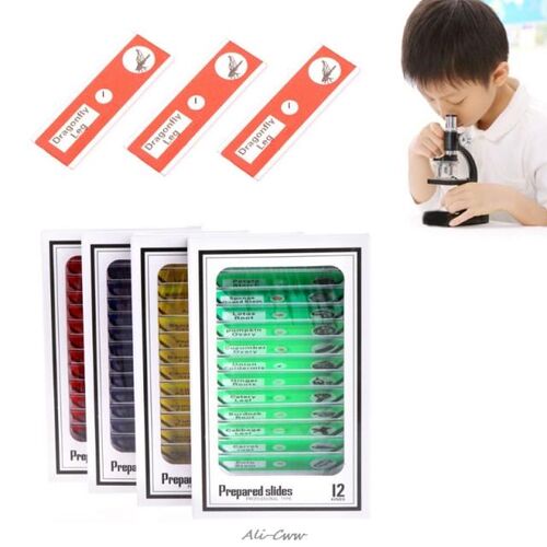 48Pcs/Set Prepared Microscope Slides Specimen Animals Insect