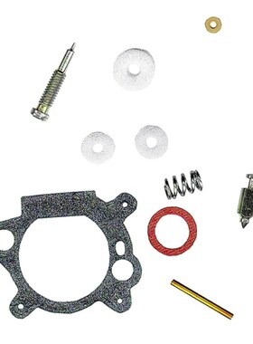 520-516 Carburetor Rebuild Kit Replacement 适用于 492495, 49