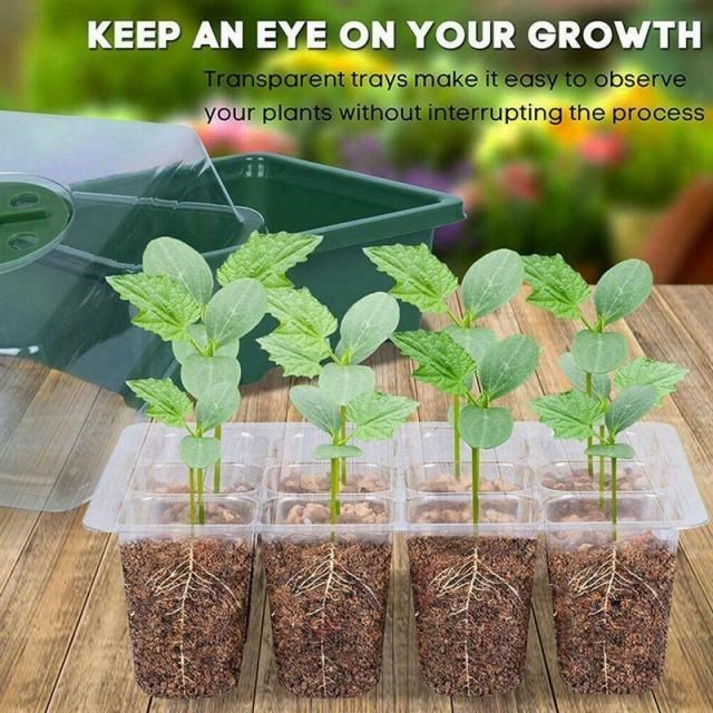 6/12 Cells Hole Plant Seeds Grow Box Gardening Sowing Tray T