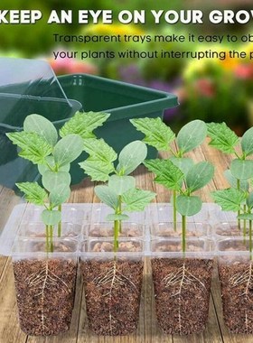 6/12 Cells Hole Plant Seeds Grow Box Gardening Sowing Tray T