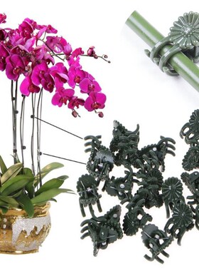 50PCS Plastic Plant Support Clips Orchid Stem Spring Clip Fo