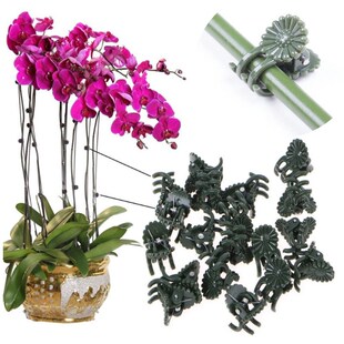 Stem Plastic Plant Support 50PCS Spring Orchid Clips Clip