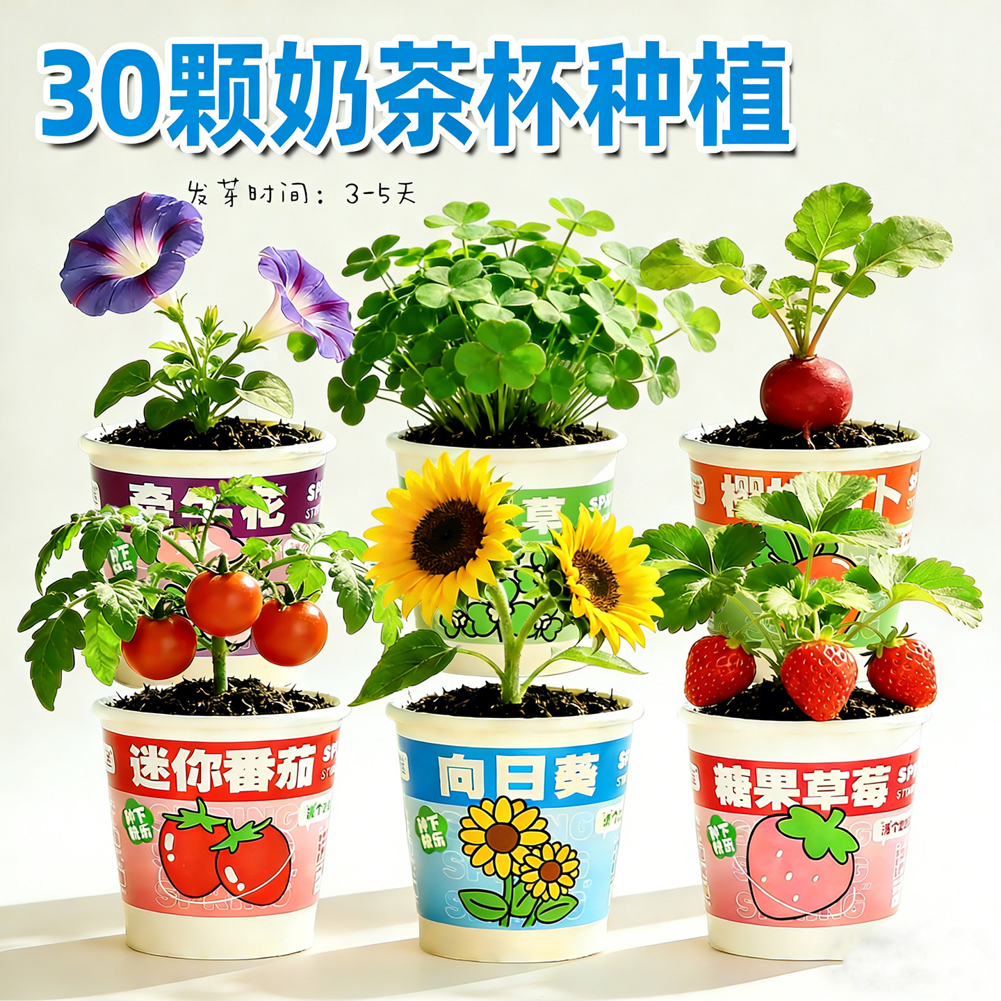 【30盒装】植物盲盒学生马年礼物