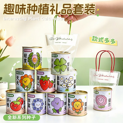 幼儿园毕业礼物盲盒种植小盆栽