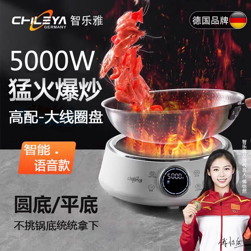 德国Chileya智乐雅5000W智能大功