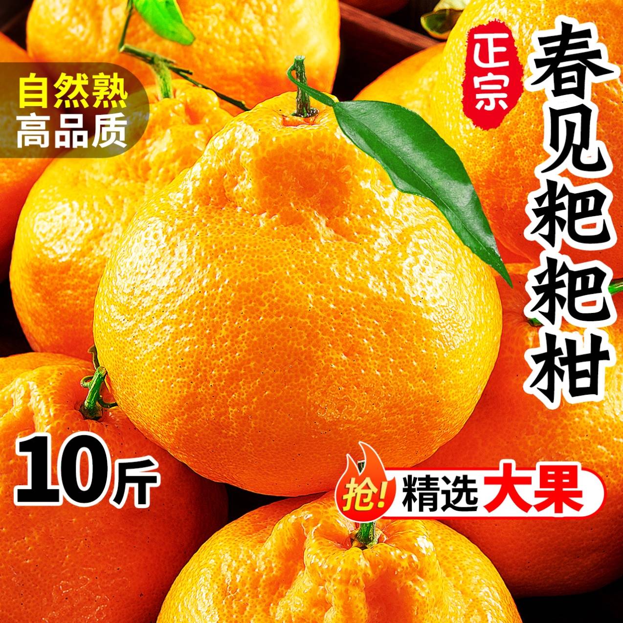 现在的耙耙柑好吃吗(现在的耙耙柑好吃吗有毒吗)