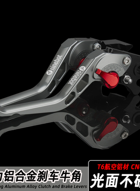 适用九号 SEGWAY XYBER赛格威改装铝合金省力刹车牛角手柄手把