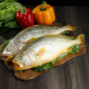 黄花鱼新鲜冷冻大黄鱼鲜活生鲜深海黄鱼鲞小黄鱼宁德商用水产批发