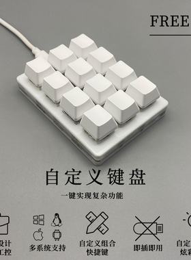 12键迷你usb录音直播音小红花效机械键盘音游自定义快捷键PS办公