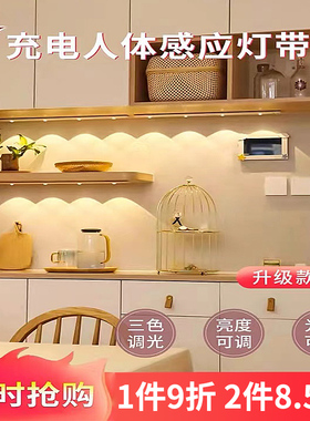 充电式猫眼山丘人体感应灯无线鞋柜酒柜展示柜灯玄关波纹柜底灯带