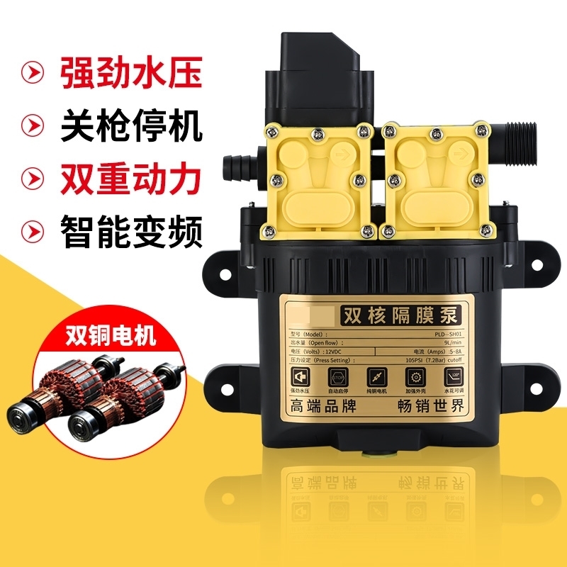 洗车水抽水泵220v洗车器便携车载洗车神器12v车载洗车器家用水泵