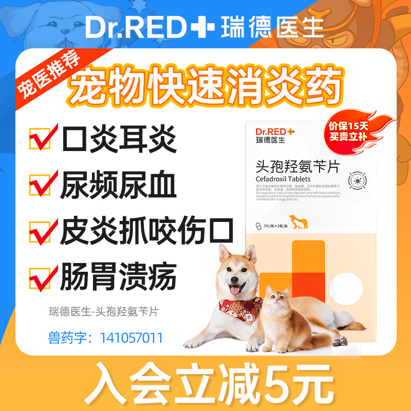 宠物头孢消炎药狗狗猫咪