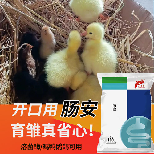 肠安雏禽开口刚出壳育雏宝添加剂