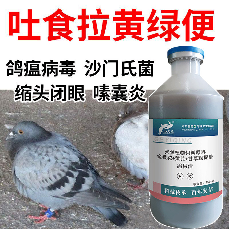 鸽易清鸽药鸽子新城疫沙门氏鸽瘟歪脖抗病毒拉稀鸽子药品鸟类用品