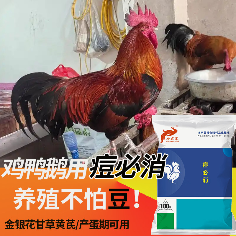 痘必消禽用鸡豆鸡鸭鹅眼睛眼角长包鸡豆鸽豆鸟类禽用甘草粉添加剂
