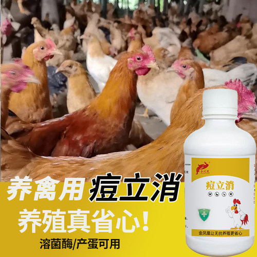 痘立消兽用鸽痘鸡豆鸡痘添加剂