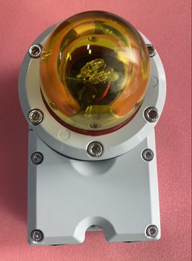 DNH BS-21ExeN  110-230VAC IP66 全新现货议价