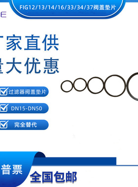 国产替代斯派莎克FIG12/13/14/16/33/34/37DN15-50过滤器阀盖垫片