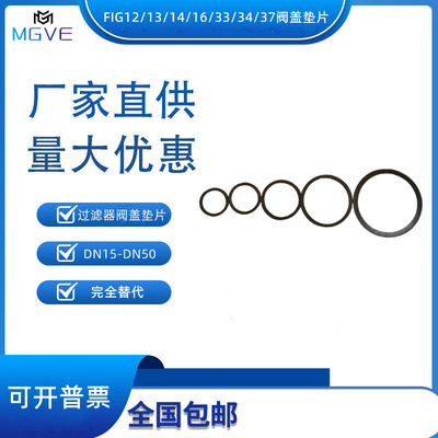 斯派莎克过滤器垫片FIG12/FIG33