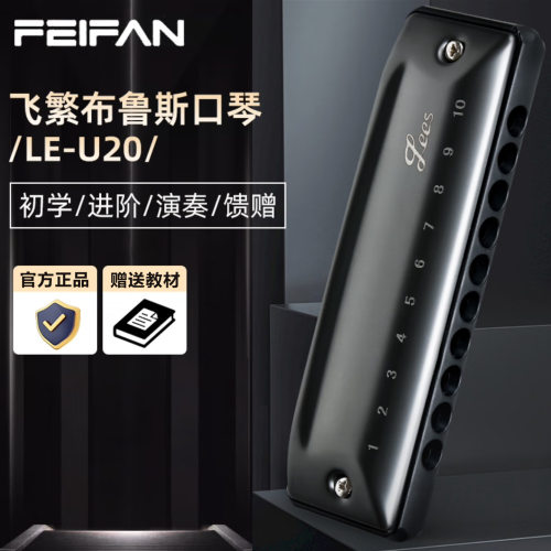 FEIFAN飞繁十孔c调圆孔布鲁斯口琴U20paddy蓝调学生演奏蓝调口琴
