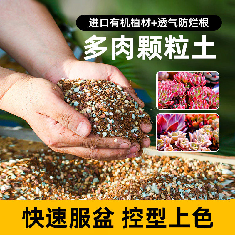 多肉颗粒土多肉土专用营养土壤种植土思威博花土盆栽纯颗粒铺面石