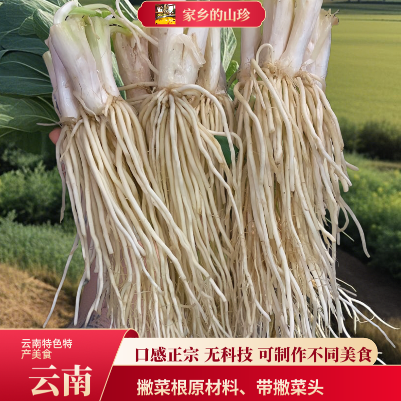 云南德宏新鲜山货无科技撇菜根