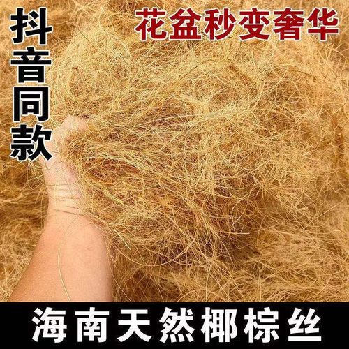 进口园艺椰丝铺面花盆装饰铺面绿植椰棕丝盆栽花盆景铺面草鸟窝巢