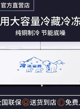 中国质造冰柜商用大容量冷冻冷藏超大卧式单温双温铜管速冻冰柜