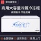 中国质造冰柜商用大容量冷冻冷藏超大卧式 单温双温铜管速冻冰柜