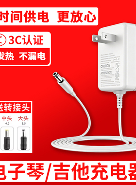 电子琴电吉他充电器线拍拍鼓儿童玩具雅马哈电钢琴拉杆音响大小DC圆孔口电源适配器1a2a插头5v12v9V24电源线