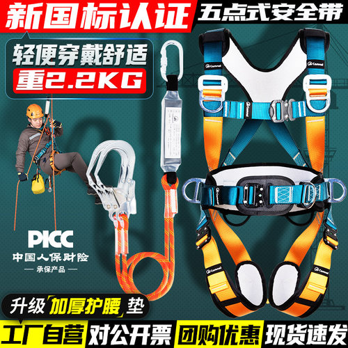 高空作业5点式安全带双挂钩全套