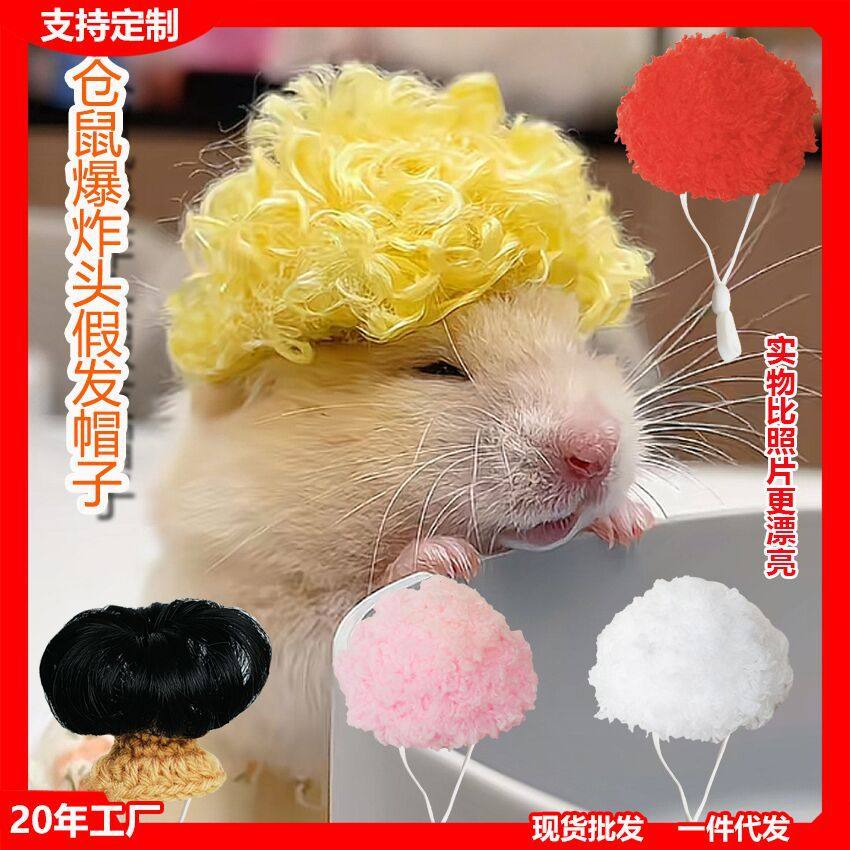 仓鼠假发小宠物假头套道具爆炸头化纤辫子卷发金丝熊装扮毛线帽子,宠物/宠物食品及用品,仓鼠,淘宝优惠券,粉丝福利购,淘宝优惠卷