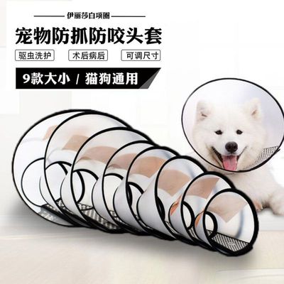 伊丽莎白圈狗狗猫咪项圈脖套防舔防抓咬耻辱圈宠物头套绝育防护圈