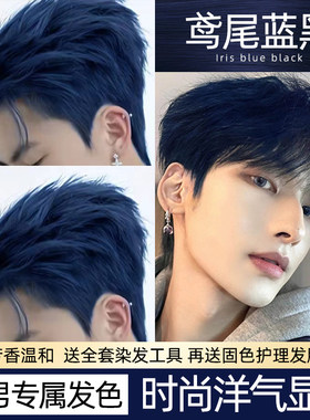 男生专用鸢尾蓝黑染发剂流行显白