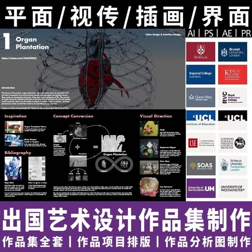 视觉传达文创装置交互包装品牌插画全套出国作品集制作代做代画