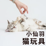 Petsville Piece Mancive Cat Stick Маленькие сказочные игрушки для игрушек лысые жиры, движущие