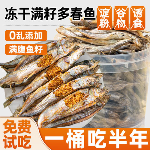 满籽多春鱼狗狗美毛零食