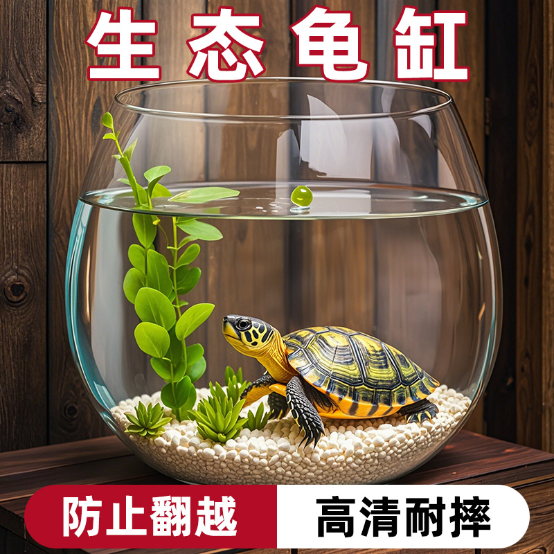 乌龟饲养缸鱼缸客厅2025新款